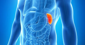 Këto janë 6 organet e trupit pa të cilat mund të jetojë njeriu keto-jane-6-organet-e-trupit-pa-te-cilat-mund-te-jetoje-njeriu