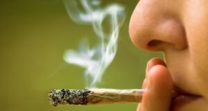 SHBA – Qeveria riklasifikon marihuanën si më pak të rrezikshme shba-–-qeveria-riklasifikon-marihuanen-si-me-pak-te-rrezikshme