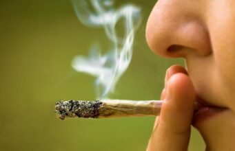 SHBA – Qeveria riklasifikon marihuanën si më pak të rrezikshme shba-–-qeveria-riklasifikon-marihuanen-si-me-pak-te-rrezikshme