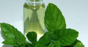 Përfitimet që merrni nga vaji i mentes perfitimet-qe-merrni-nga-vaji-i-mentes