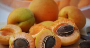 Vitamina B17: Zbulimi më i madh në historinë e kancerit vitamina-b17:-zbulimi-me-i-madh-ne-historine-e-kancerit