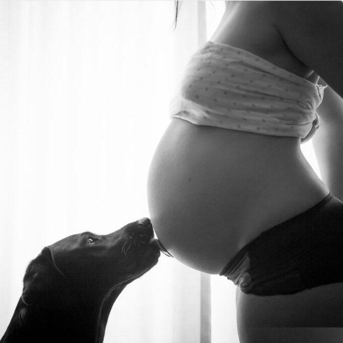 te-kesh-nje-qen-ndihmon-kunder-depresionit-dhe-semundjeve-kardiovaskulare