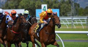 VIDEO: Neil Simpson impresses at Barum Czech Rally Zlín