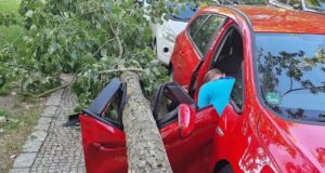 Gjermani: Dega e pemës tetë metra bie në veturë, lë të ngujuar babain me dy fëmijët e tij gjermani:-dega-e-pemes-tete-metra-bie-ne-veture,-le-te-ngujuar-babain-me-dy-femijet-e-tij