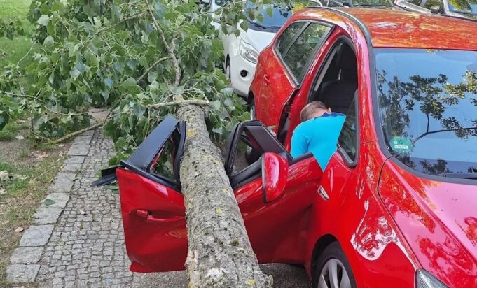 gjermani:-dega-e-pemes-tete-metra-bie-ne-veture,-le-te-ngujuar-babain-me-dy-femijet-e-tij