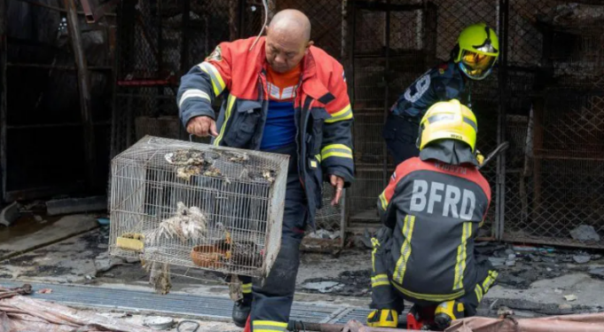 zjarri-ne-tregun-e-famshem-te-bangkok-ut-vret-1-mije-kafshe