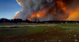 Zjarri në New Mexico, banorët detyrohen të evakuohen zjarri-ne-new-mexico,-banoret-detyrohen-te-evakuohen