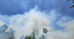 Komuna e Skënderajt: U bëjmë thirrje qytetarëve të bëjnë kujdes që mos t’i vënë flakën tokave bujqësore komuna-e-skenderajt:-u-bejme-thirrje-qytetareve-te-bejne-kujdes-qe-mos-t’i-vene-flaken-tokave-bujqesore