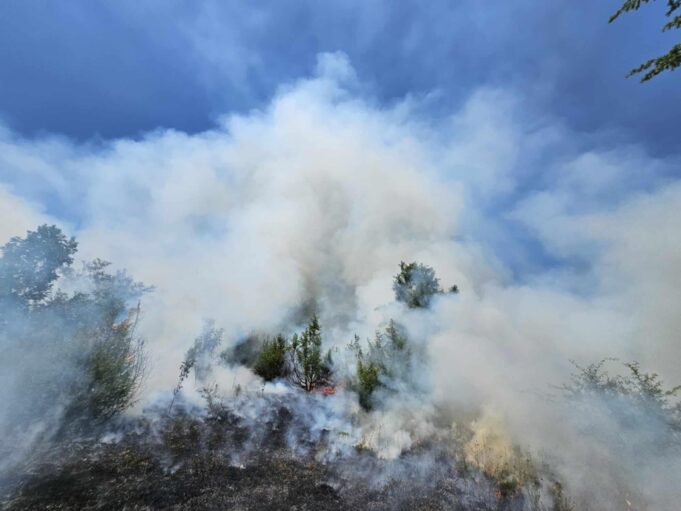 komuna-e-skenderajt:-u-bejme-thirrje-qytetareve-te-bejne-kujdes-qe-mos-t’i-vene-flaken-tokave-bujqesore