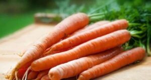 Karota dhe vetitë kuruese të saj karota-dhe-vetite-kuruese-te-saj