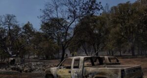 Gati 30 mijë të evakuuar nga zjarret në Kaliforni gati-30-mije-te-evakuuar-nga-zjarret-ne-kaliforni