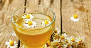 Pse kamomili quhet “bima e shenjtë” pse-kamomili-quhet-“bima-e-shenjte”