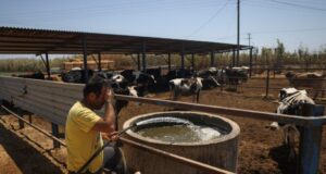 Ishujt grekë përballen me krizën e ujit, teksa sezoni turistik arrin kulmin ishujt-greke-perballen-me-krizen-e-ujit,-teksa-sezoni-turistik-arrin-kulmin