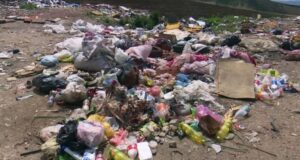 Jetesa me deponi e kafshë të ngordhura në derë të shtëpisë në “Kodër të Trimave” jetesa-me-deponi-e-kafshe-te-ngordhura-ne-dere-te-shtepise-ne-“koder-te-trimave”