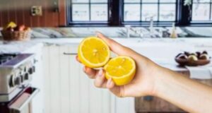 Ka një arsye pse nuk duhet të shkoni kurrë në shtrat pa një limon ka-nje-arsye-pse-nuk-duhet-te-shkoni-kurre-ne-shtrat-pa-nje-limon