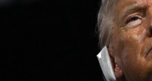 Pse është i parezistueshëm Donald Trump? pse-eshte-i-parezistueshem-donald-trump?