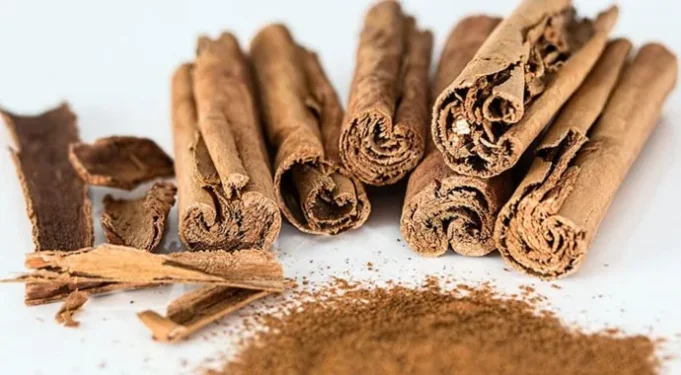 kanella-e-mire-per-humorin-dhe-kujtesen