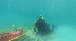 Nis projekti kërkimor Lin 3 nis-projekti-kerkimor-lin-3