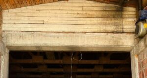 Peci: Zyrtarisht fillon repelimi i kafshëve kundër sëmundjes “Ethet Hemorragjike Krime-Kongo” peci:-zyrtarisht-fillon-repelimi-i-kafsheve-kunder-semundjes-“ethet-hemorragjike-krime-kongo”