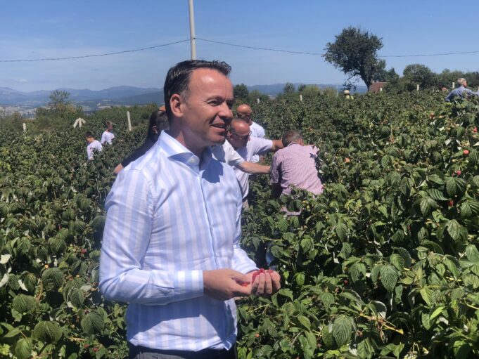 peci-ne-“ditet-e-mjedres”:-frut-strategjik-qe-mund-ta-zhvilloje-shume-vendin,-ministria-ka-rritur-perkrahjen