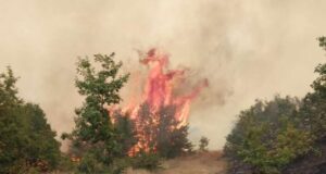 Zjarret malore në Podujevë po shkojnë në drejtim të Potokut zjarret-malore-ne-podujeve-po-shkojne-ne-drejtim-te-potokut