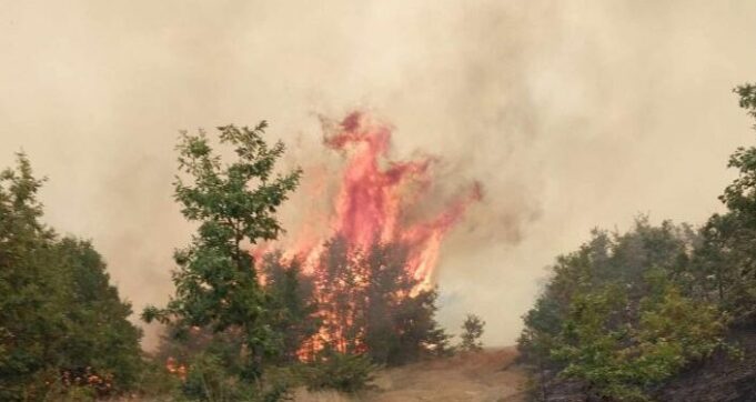 zjarret-malore-ne-podujeve-po-shkojne-ne-drejtim-te-potokut