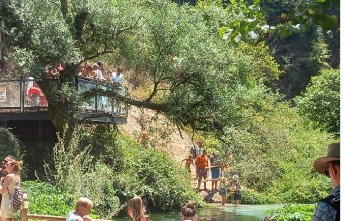 syri-i-kalter-ne-sarande,-4220-vizitore-brenda-nje-dite