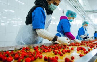 Dredhëzat e spinaqi kryesojnë në listën e ushqimeve me pesticide dredhezat-e-spinaqi-kryesojne-ne-listen-e-ushqimeve-me-pesticide