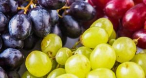 Farat e rrushit, si t’i përdorni për veshkat dhe mëlçinë farat-e-rrushit,-si-t’i-perdorni-per-veshkat-dhe-melcine