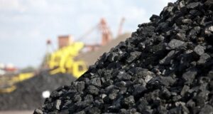 ASK: Më shumë thëngjill të prodhuar në qershor 2024 sesa vitin e kaluar ask:-me-shume-thengjill-te-prodhuar-ne-qershor-2024-sesa-vitin-e-kaluar