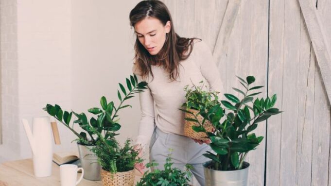 si-t’i-beni-gati-lulet-e-dhomes-per-vjeshte