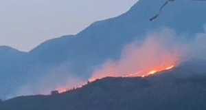 Zjarr në fshatin Valare të Gjirokastrës, flakët drejt staneve zjarr-ne-fshatin-valare-te-gjirokastres,-flaket-drejt-staneve