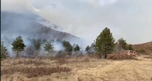 Zjarr në fshatin Osmënzezë, digjen 10 hektarë me shkurre, 100 drurë ullinj e 50 drurë bajame zjarr-ne-fshatin-osmenzeze,-digjen-10-hektare-me-shkurre,-100-drure-ullinj-e-50-drure-bajame