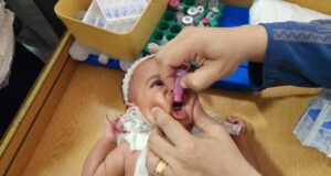 Fëmijëve të parë në Gaza u jepet vaksina kundër poliomielitit femijeve-te-pare-ne-gaza-u-jepet-vaksina-kunder-poliomielitit