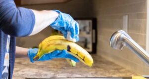 Nuk ka nevojë t’i dezinfektoni gjësendet ushqimore, pastroni duart tuaja nuk-ka-nevoje-t’i-dezinfektoni-gjesendet-ushqimore,-pastroni-duart-tuaja