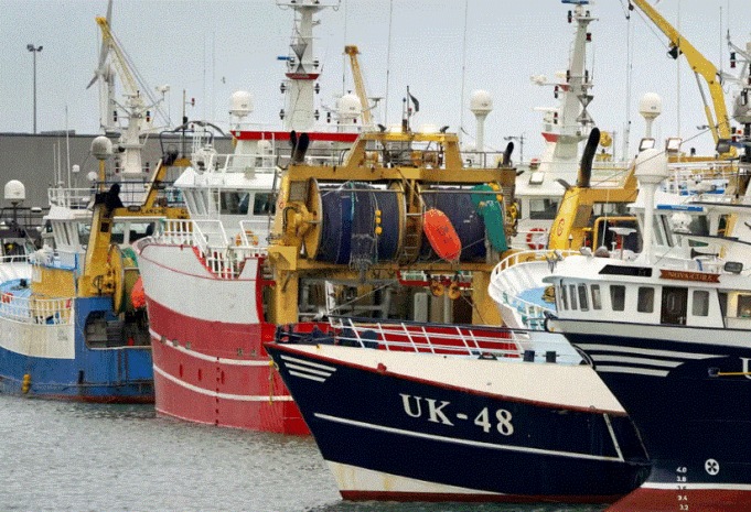 be-po-deshton-ne-zbatimin-e-rregullave-te-peshkimit-te-paligjshem,-thone-aktivistet