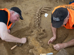 Beteja e Waterloo, gërmimet zbulojnë tmerrin e gjymtyrëve të prera dhe kuajve të qëlluar beteja-e-waterloo,-germimet-zbulojne-tmerrin-e-gjymtyreve-te-prera-dhe-kuajve-te-qelluar