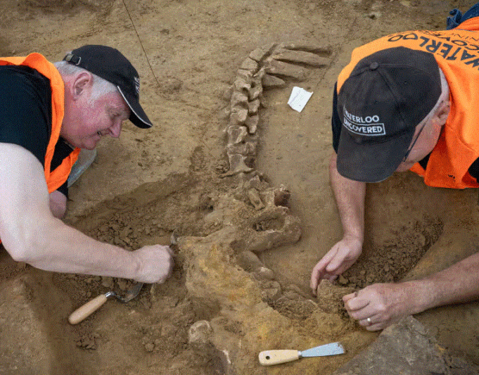 beteja-e-waterloo,-germimet-zbulojne-tmerrin-e-gjymtyreve-te-prera-dhe-kuajve-te-qelluar