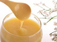 Qumështi i bletës shërues i disa sëmundjeve qumeshti-i-bletes-sherues-i-disa-semundjeve