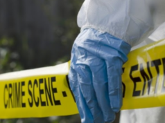 Gjendet një trup i pajetë në Fushë Kosovë gjendet-nje-trup-i-pajete-ne-fushe-kosove