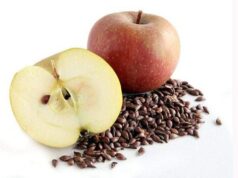 A janë farat e mollës të ngrënshme apo helmuese? a-jane-farat-e-molles-te-ngrenshme-apo-helmuese?