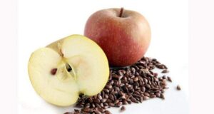 A janë farat e mollës të ngrënshme apo helmuese? a-jane-farat-e-molles-te-ngrenshme-apo-helmuese?