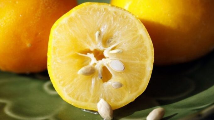 sheroni-dhimbjet-e-forta-te-kokes-me-farat-e-limonit