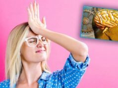 Harresa është shenjë e inteligjencës së lartë harresa-eshte-shenje-e-inteligjences-se-larte