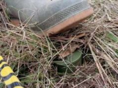 Gjenden dy mina e tri bomba dore të pashpërthyera në Shtërpcë gjenden-dy-mina-e-tri-bomba-dore-te-pashperthyera-ne-shterpce