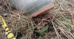 Gjenden dy mina e tri bomba dore të pashpërthyera në Shtërpcë gjenden-dy-mina-e-tri-bomba-dore-te-pashperthyera-ne-shterpce