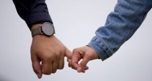 Rrëmbimi i kafshëve shtëpiake do të bëhet vepër penale në Angli rrembimi-i-kafsheve-shtepiake-do-te-behet-veper-penale-ne-angli