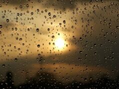 Parashikimi i motit për të enjten parashikimi-i-motit-per-te-enjten