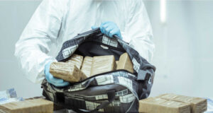 Raporti i antidrogës italiane: Rrjetet kriminale shqiptare po forcohen raporti-i-antidroges-italiane:-rrjetet-kriminale-shqiptare-po-forcohen